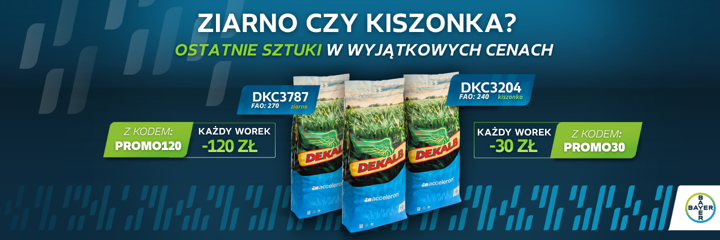 Kiszonka czy ziarno - wyprzedarz kuku 04.26