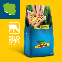 Packshot kukurydza Dekalb DKC3204