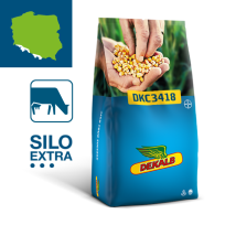 Packshot kukurydza Dekalb DKC3418