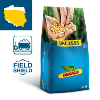 Packshot kukurydza Dekalb DKC3595