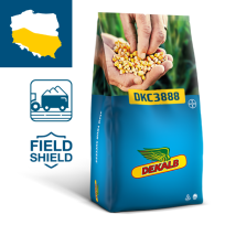 Packshot kukurydza Dekalb DKC3888