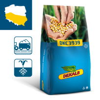 Packshot kukurydza Dekalb DKC3939