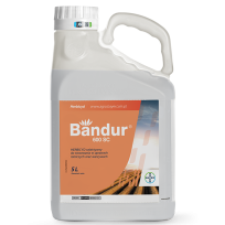 Bandur 600 SC