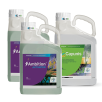 Cayunis Aktivator Set