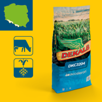 Packshot kukurydza Dekalb DKC3204