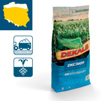 Odmiana kukurydzy DKC3609