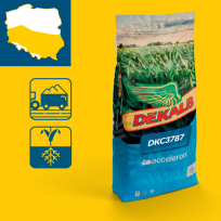 Packshot kukurydza Dekalb DKC3787