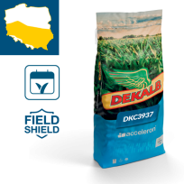 Packshot kukurydza Dekalb DKC3937