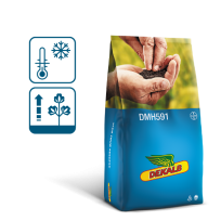 packshot, grafika worka z nasionami odmiany DK Excited