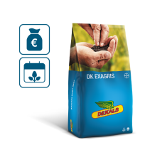 packshot, grafika worka z nasionami rzepaku DEKALB odmiany DK Exbury