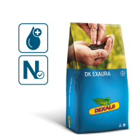 packshot, grafika worka z nasionami rzepaku odmiany DK Exaura