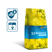 packshot, grafika worka rzepaku DEKALB odmiana Exavance