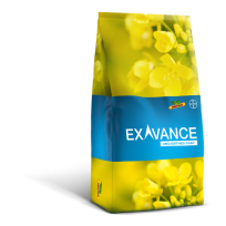 packshot, grafika worka rzepaku DEKALB odmiana Exavance
