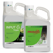 Input Triple + Prosaro 250 EC