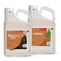 Mateno Pro Set (Mateno Duo + Cofeno)