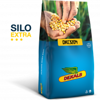 Odmiana kukurydzy Dekalb DKC3204, Bayer