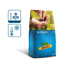 Rzepak ozimy DK Sequel packshot, Dekalb