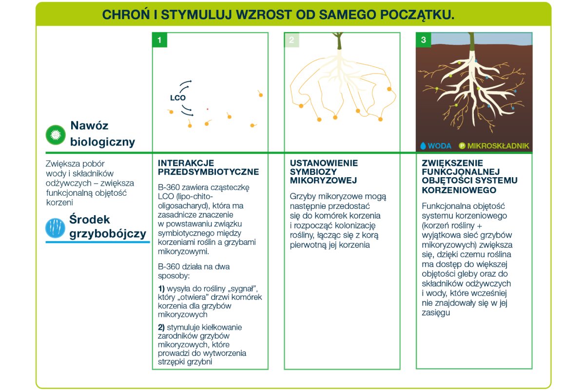 Chroń i stymuluj wzrost z Acceleron